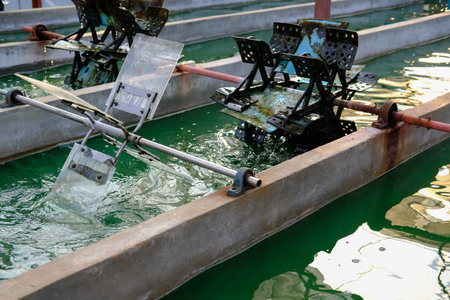 spirulina farm. algae farming for dietary supplement production