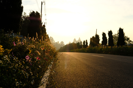 grass beside country road with morning sunrise sunset viewの写真素材