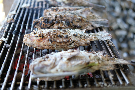 grilled roasted salted tilapia fish with saltの写真素材