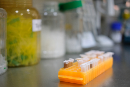 DNA sample in PCR tube microplate in labの写真素材
