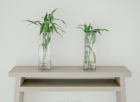 green plant decorating in glass pot on wooden tableの写真素材