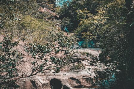 creek water stream waterfall flowing in summer forestの写真素材