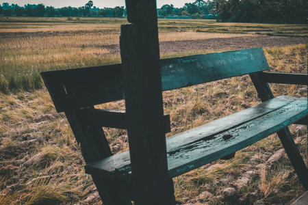 chair bench with rice paddy field view