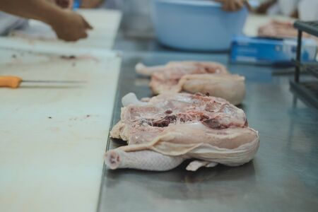 chicken processing in plant factory. poultry production in food industryの写真素材