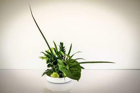 green leaves arrangement in japanese ikebana styleの写真素材