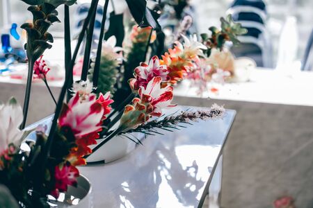 siam tulip flower arrangement in japanese ikebana styleの写真素材