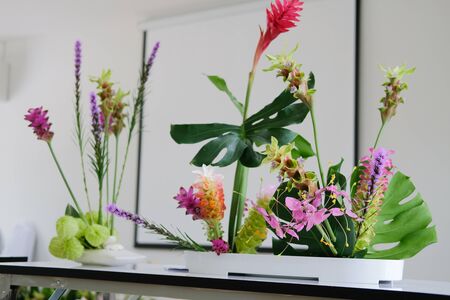 siam tulip flower arrangement in japanese ikebana styleの写真素材