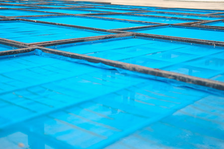 tray for drying food ingredient by sunlight. sun dryer is traditional food preservation technique