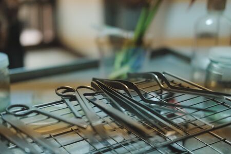 plier knife scissor for plant tissue culture in laboratoryの写真素材