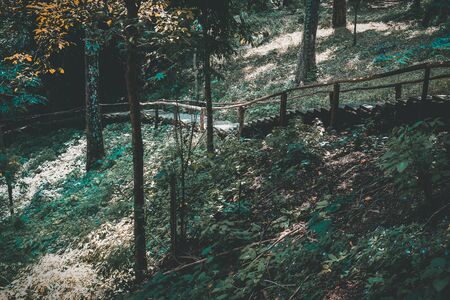 stairs stairway on hill mountain in forestの写真素材