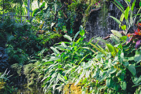 plant & waterfall decorating in tropical botany garden park