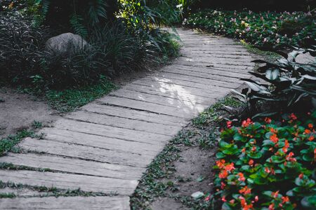 walkway pathway in garden park. tranquil nature sceneの写真素材