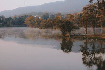 bench & morning fog on lake pond with mountain view. tranquil nature landscape