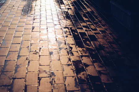 morning light sunlight on brick path walkway footpath pathway