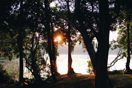 morning sunlight & fog on lake pond with mountain view. tranquil nature landscape