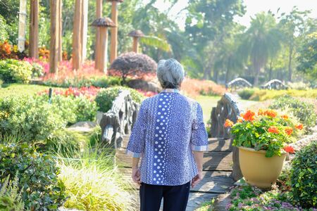 old elder woman resting in garden. asian elderly female relaxing outdoors. senior leisure lifestyleの写真素材