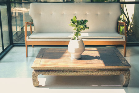 cactus plant with white cushion sofa couch & table in living room. house home interior