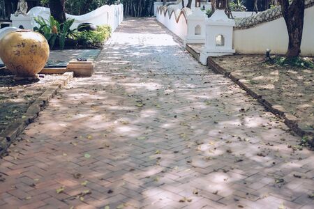 leaves & tree shadow on walkway pathway in garden parkの写真素材