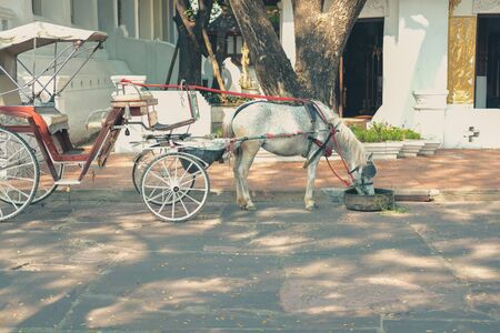 horse rickshaw serving tourist. old vintage retro asian tricycleの写真素材