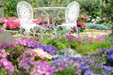 white metal seat chair in flower garden park in spring summerの写真素材