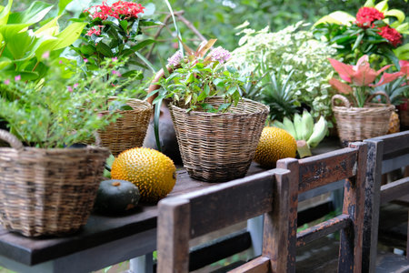 flower & green plant leaves in wicker basket decorating on terrace balcony
