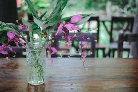pink flower & green leaves in glass vase bottle decorating on table at homeの写真素材