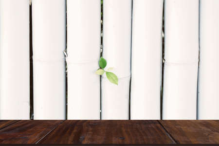 white bamboo wood planks texture abstract background for design and decorationの写真素材