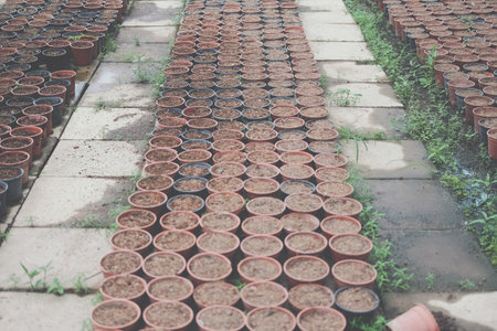 soil & fertilizer in planting pot for growing transplanting plant seedling in farm
