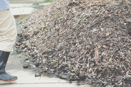 organic compost heap. fertilizer production for soil cultivation in agriculture industry