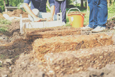 farmer growing straw mushroom on rice straw in farm. volvariella volvacea mushroomsの写真素材