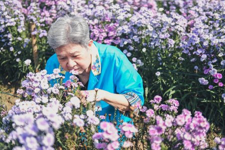 asian old elderly female elder woman resting relaxing in flower garden. senior leisure lifestyleの写真素材