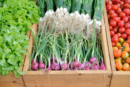 fresh vegetable for sale in grocery store market