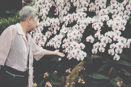 asian old elderly female elder woman resting relaxing in garden. senior leisure lifestyle