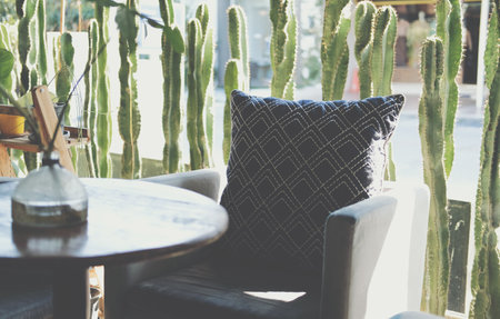 pillow on chair sofa seat at patio at homeの写真素材