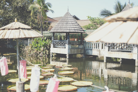 gazebo pavilion beside pond in garden parkの写真素材