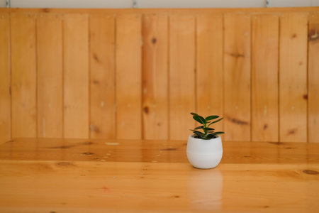 green plant leaves in glass pot decorating in living room at home