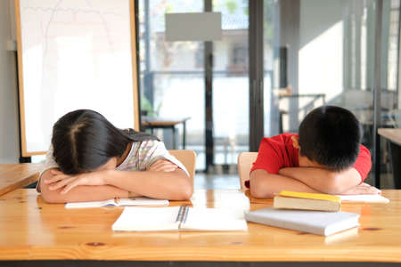 tired exhausted asian girl boy student sleeping after studying hard exam in libraryの写真素材
