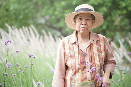 asian old elderly female elder woman resting relaxing in rose flower garden. senior leisure lifestyleの写真素材