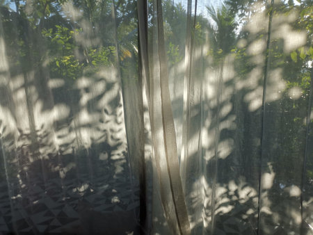 sunlight light and leaves shadow on transparent white curtain