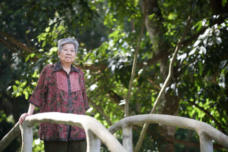 asian old elderly female elder woman resting relaxing in garden. senior leisure lifestyleの写真素材