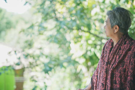 asian old elderly female elder woman resting relaxing in garden. senior leisure lifestyleの写真素材
