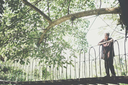 old asian elderly woman senior traveling on wooden hanging suspended rope bridgeの写真素材