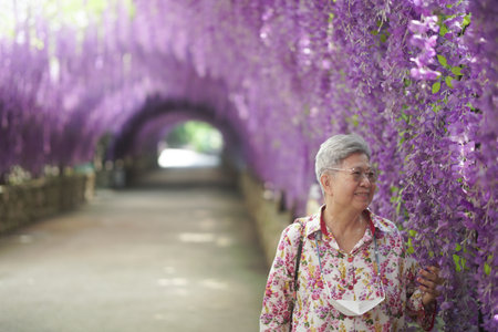 old elderly elder senior woman resting relaxing walking in gardenの写真素材