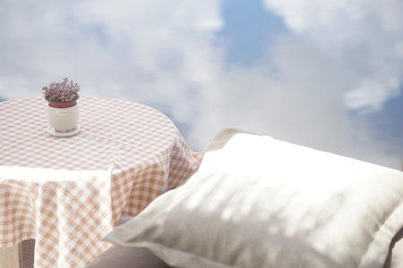 plant in ceramic pot decorating on table on terrace balcony patioの写真素材