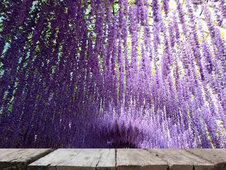 blurry hanging purple flower tunnel with wooden table for display productの写真素材