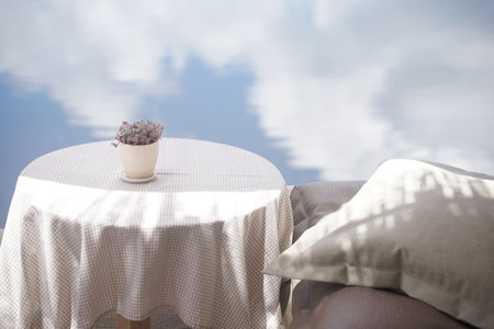 plant in ceramic pot decorating on table on terrace balcony patioの写真素材
