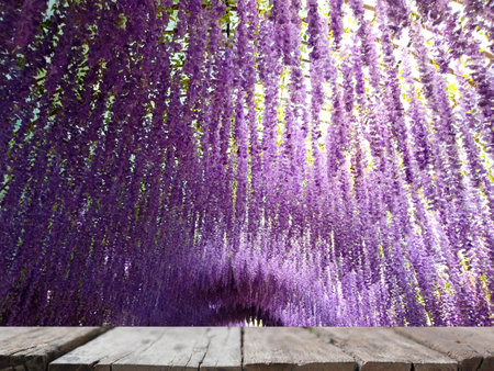blurry hanging purple flower tunnel with wooden table for display productの写真素材