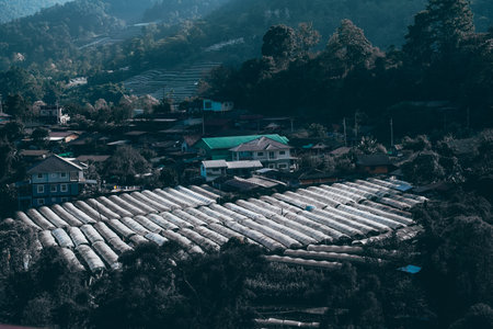 plastic roof in flower cultivation plantation farm on hillの写真素材