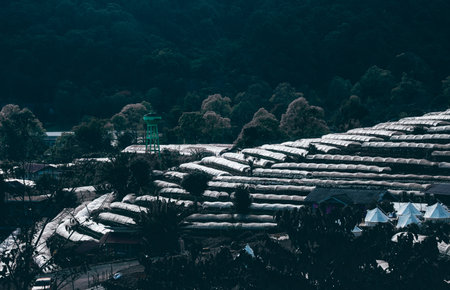 plastic roof in flower cultivation plantation farm on hillの写真素材