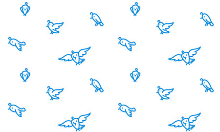Flying birds contours on white
